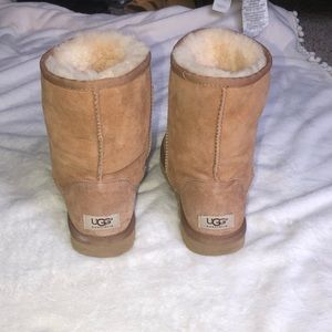 Size 7 Chestnut Classic UGGS